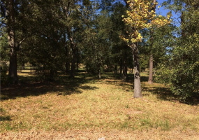 Bon Vie, Calcasieu, Louisiana, United States 70665, 0 , 0 ,0,Vacant Land,For Sale,Bon Vie,0,1044 Bon Vie, Calcasieu, Louisiana, United States 70665, 0 , 0 ,0,Vacant Land,For Sale,Bon Vie,0,1044