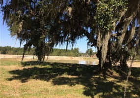 Madewood Street- Sulphur- Calcasieu- Louisiana- United States 70663, ,Vacant Land,For Sale,Madewood Street,1077 Madewood Street- Sulphur- Calcasieu- Louisiana- United States 70663, ,Vacant Land,For Sale,Madewood Street,1077